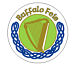 Feis Logo