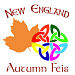 Feis Logo