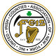 Feis Logo